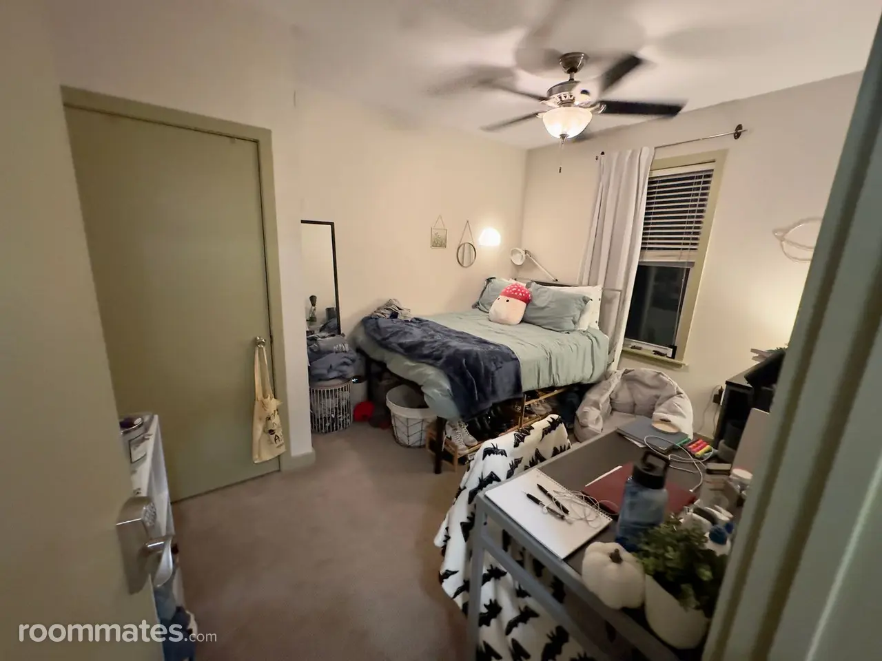 Profile photo 2 of 8