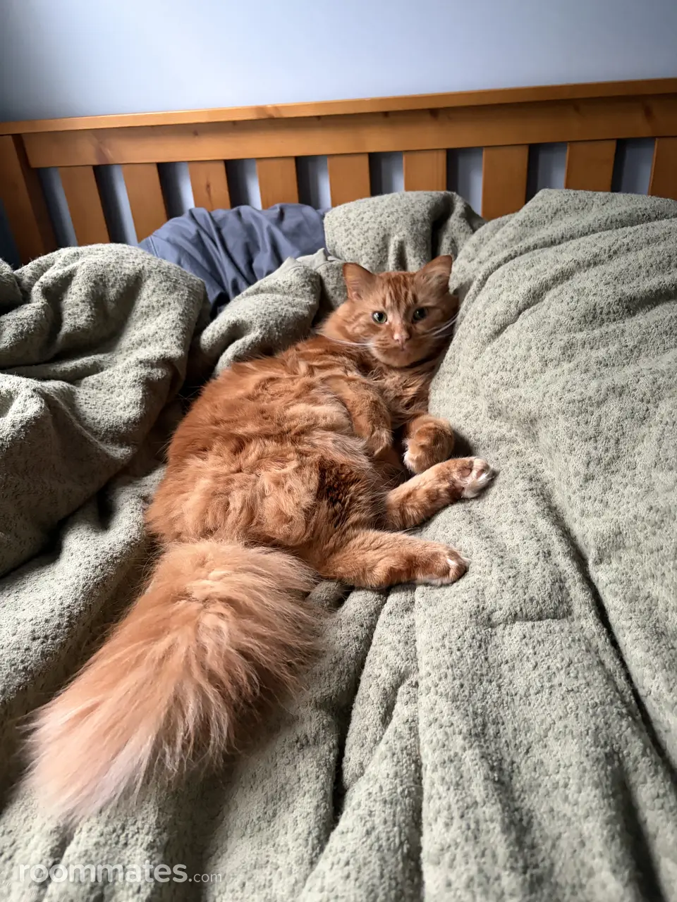 Profile photo 4 of 5