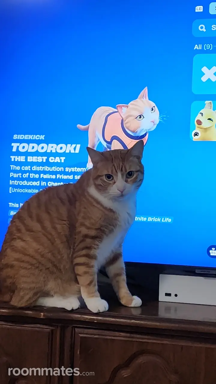 Profile photo 11 of 19