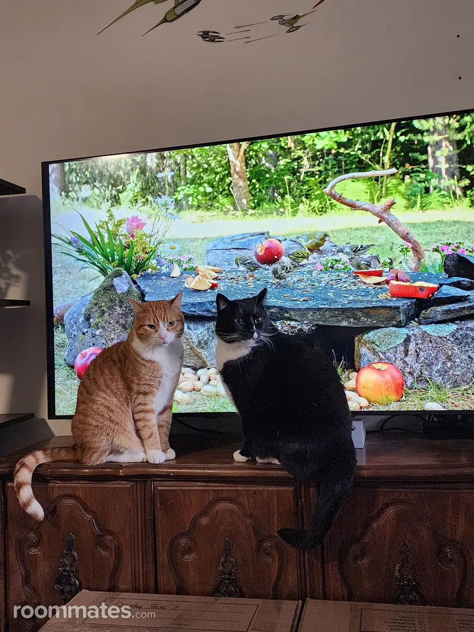 Profile photo 12 of 19