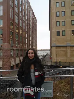 Roommate looking Boston, MA, $1500