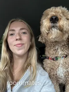 Roommate looking St. Augustine, FL, $2000