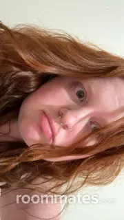 Roommate looking Fayetteville, AR, $600