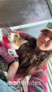 Roommate looking Nashville, TN, $1000