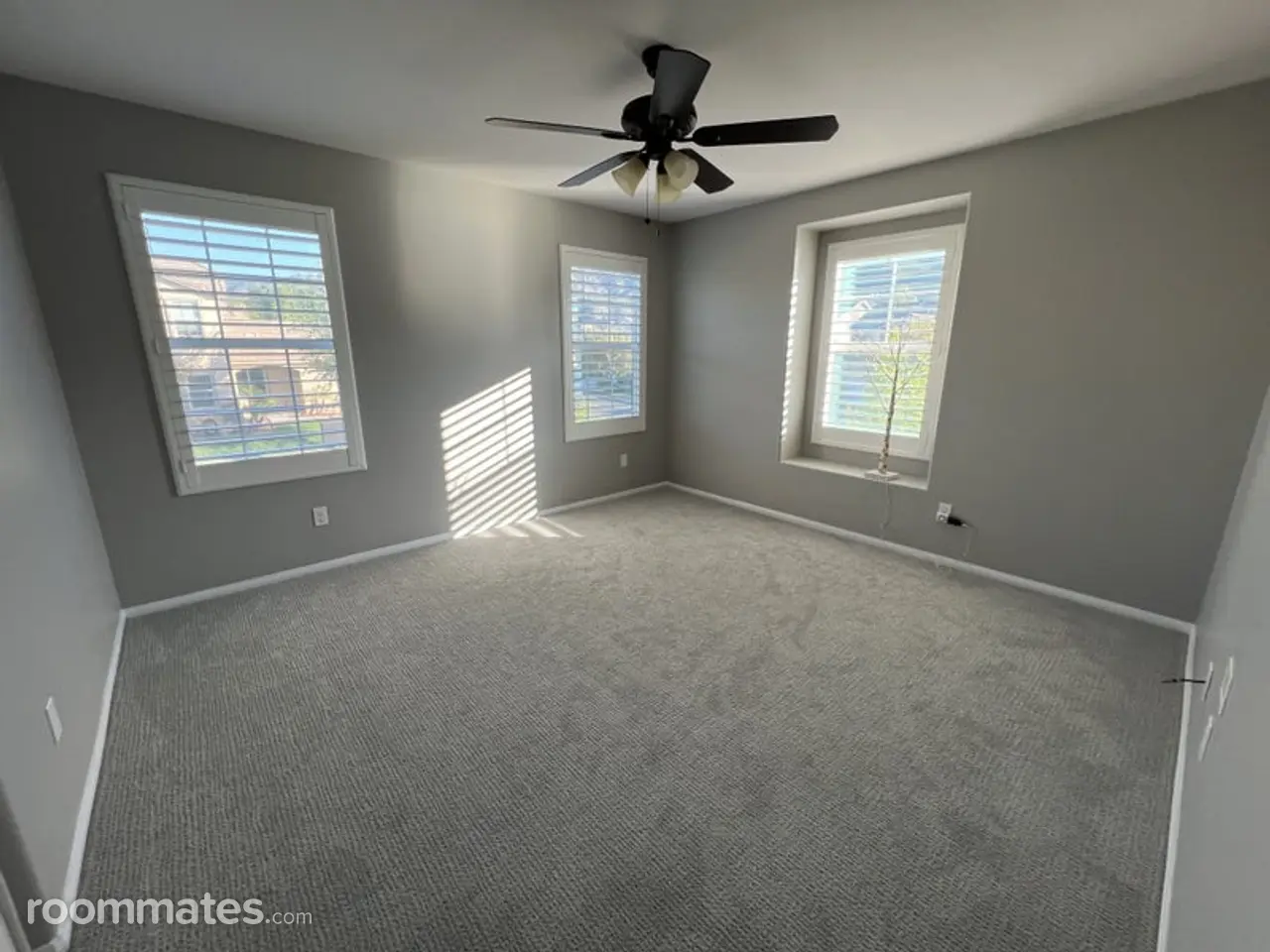 Profile photo 3 of 11