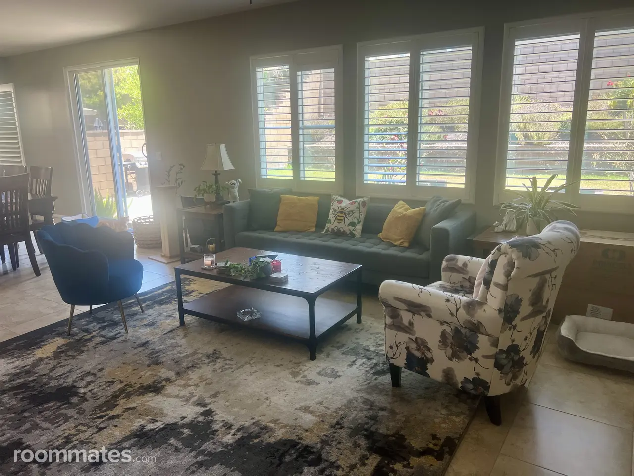 Profile photo 9 of 11