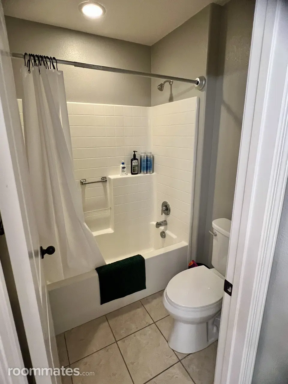 Profile photo 4 of 11