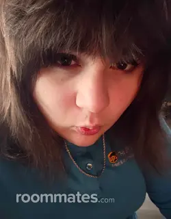 Roommate looking Brandon, FL, $1200