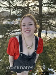 Room for rent in Holland, MI $500, apartment