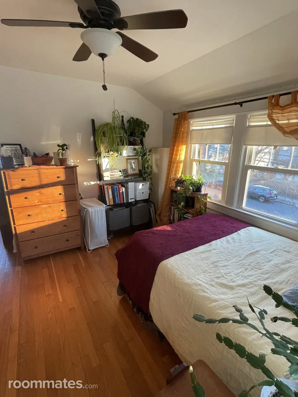 Profile photo 2 of 11