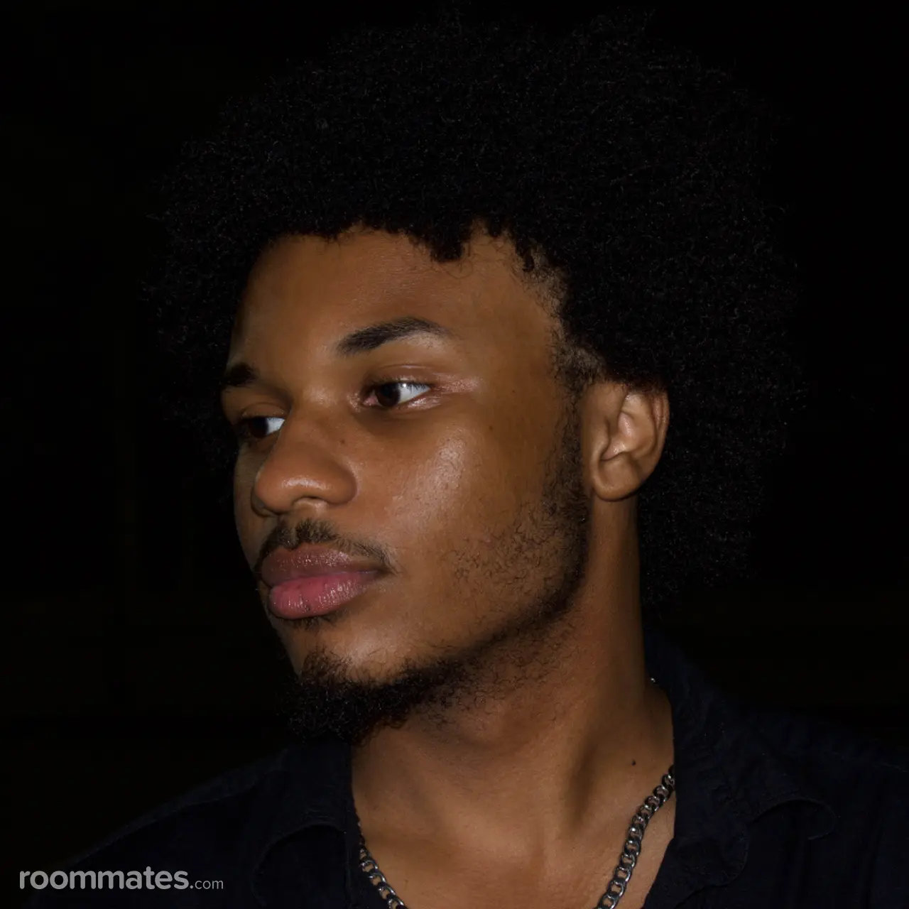 Profile photo 1 of 1