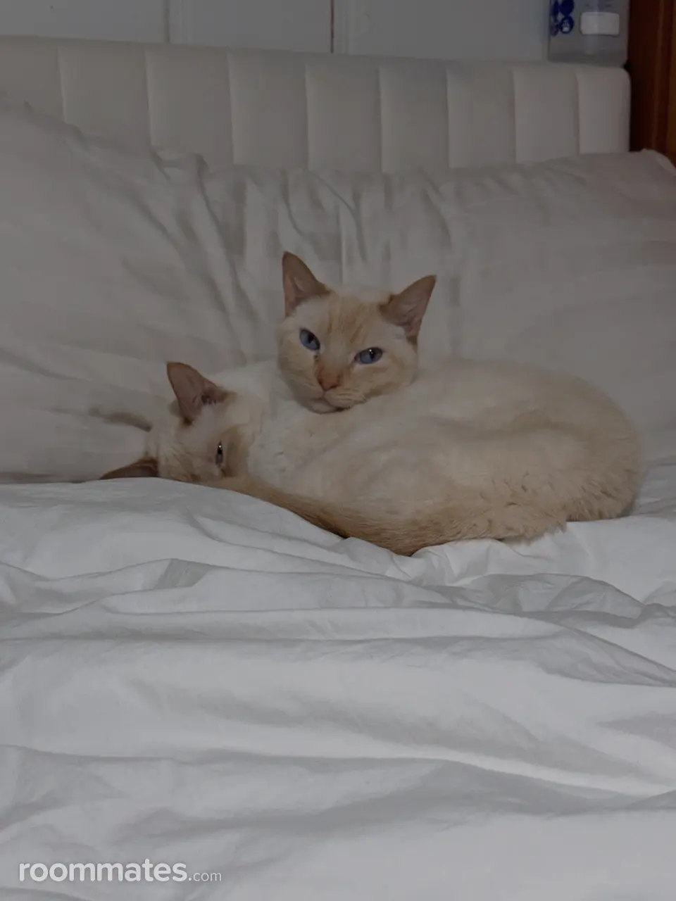 Profile photo 3 of 4