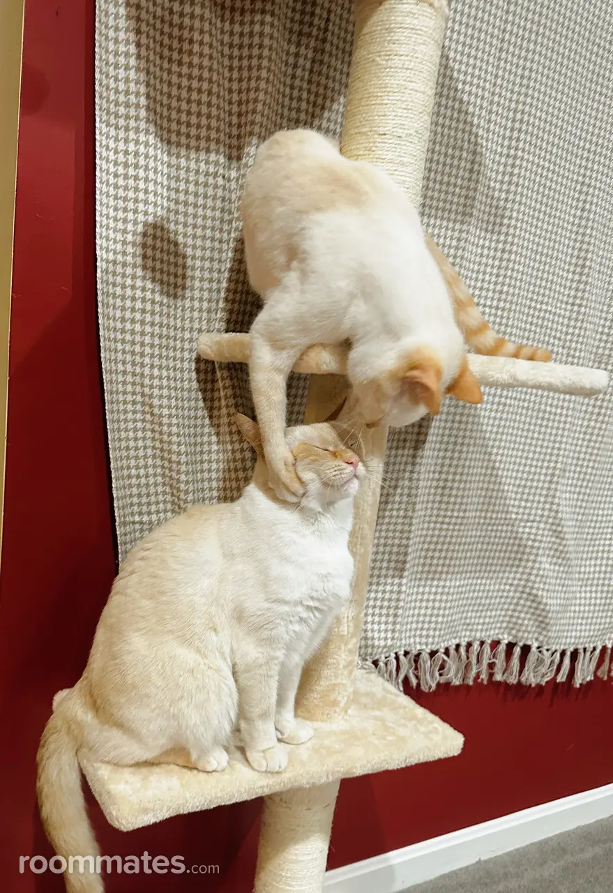 Profile photo 2 of 4