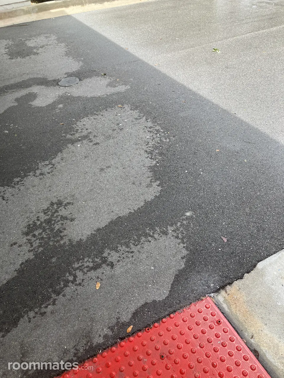 Profile photo 1 of 1