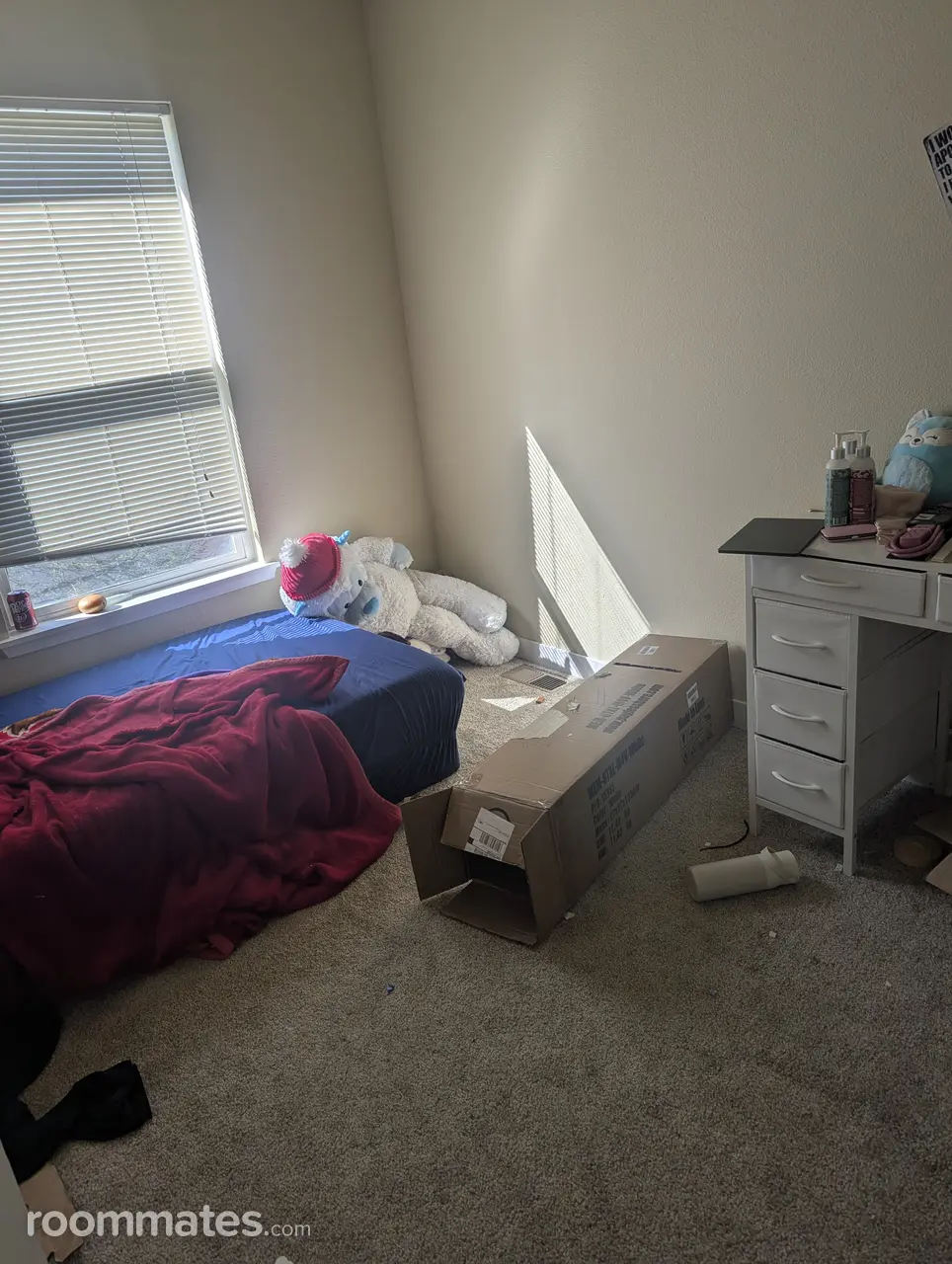 Profile photo 7 of 10