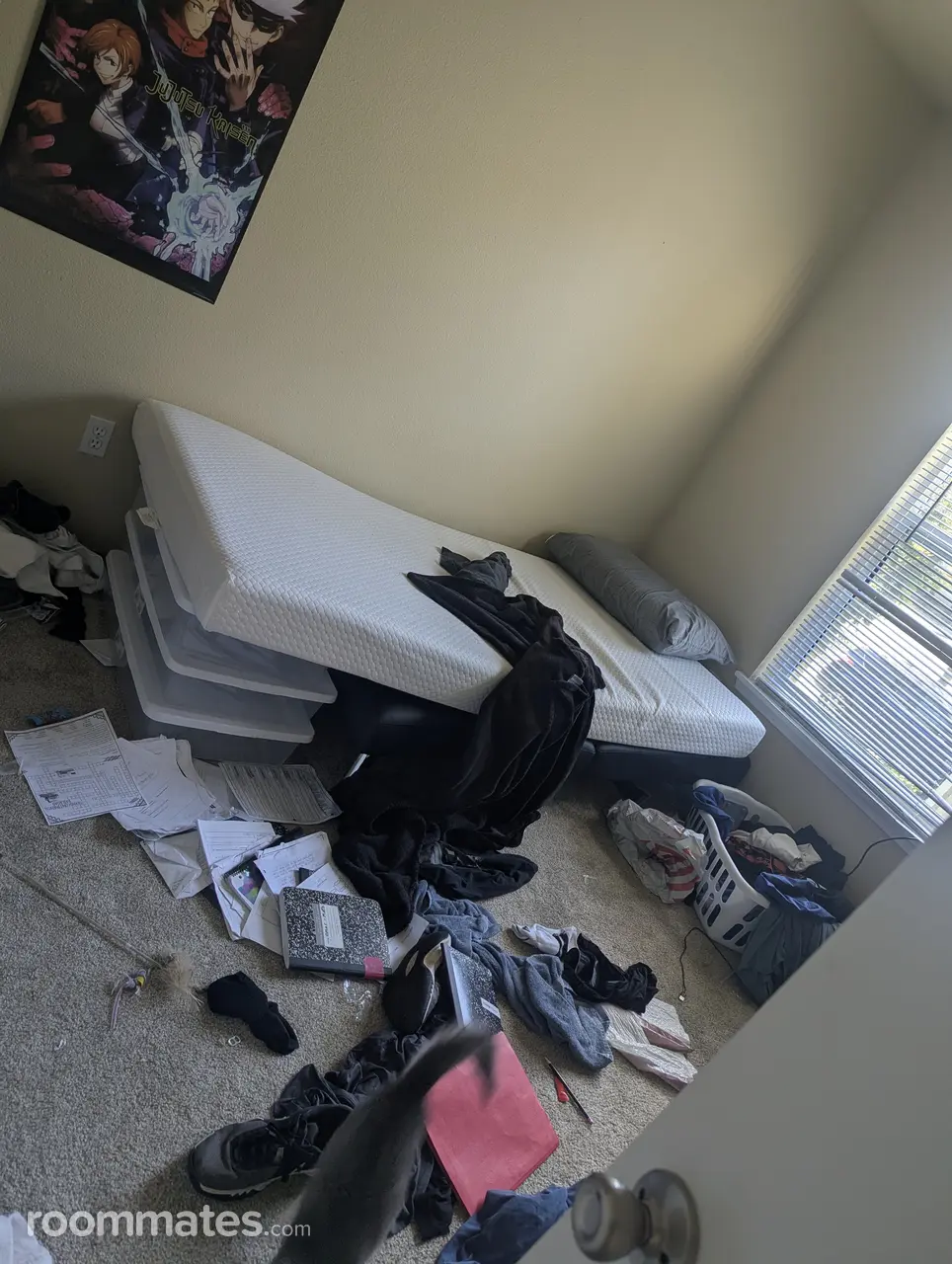 Profile photo 6 of 10