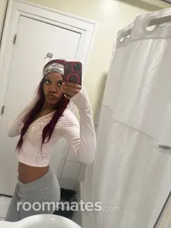 Roommate looking Chicago, IL, $500