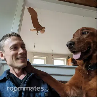 Roommate looking Portland, ME, $1000