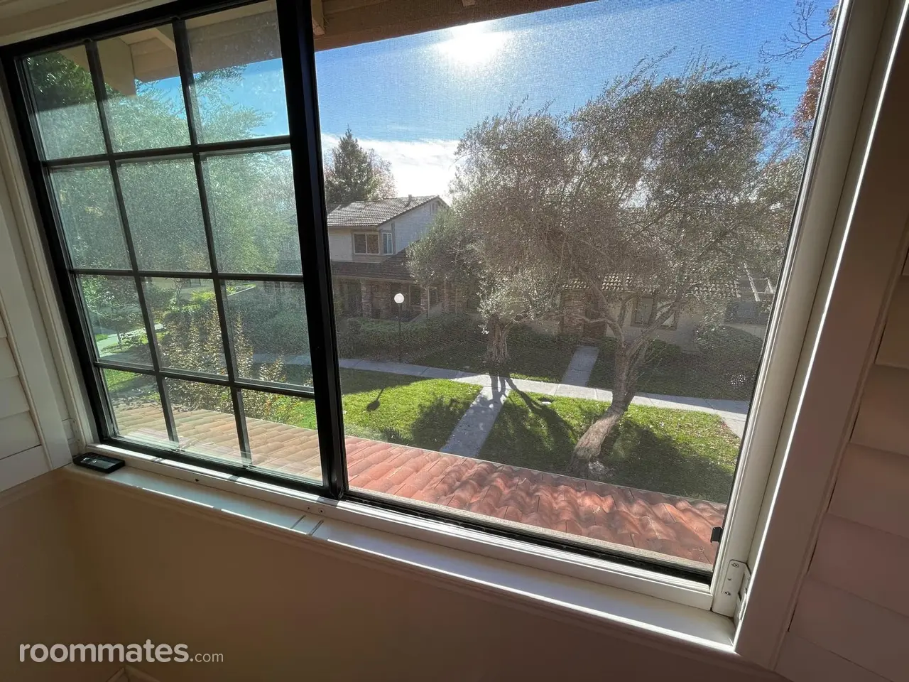 Profile photo 3 of 10