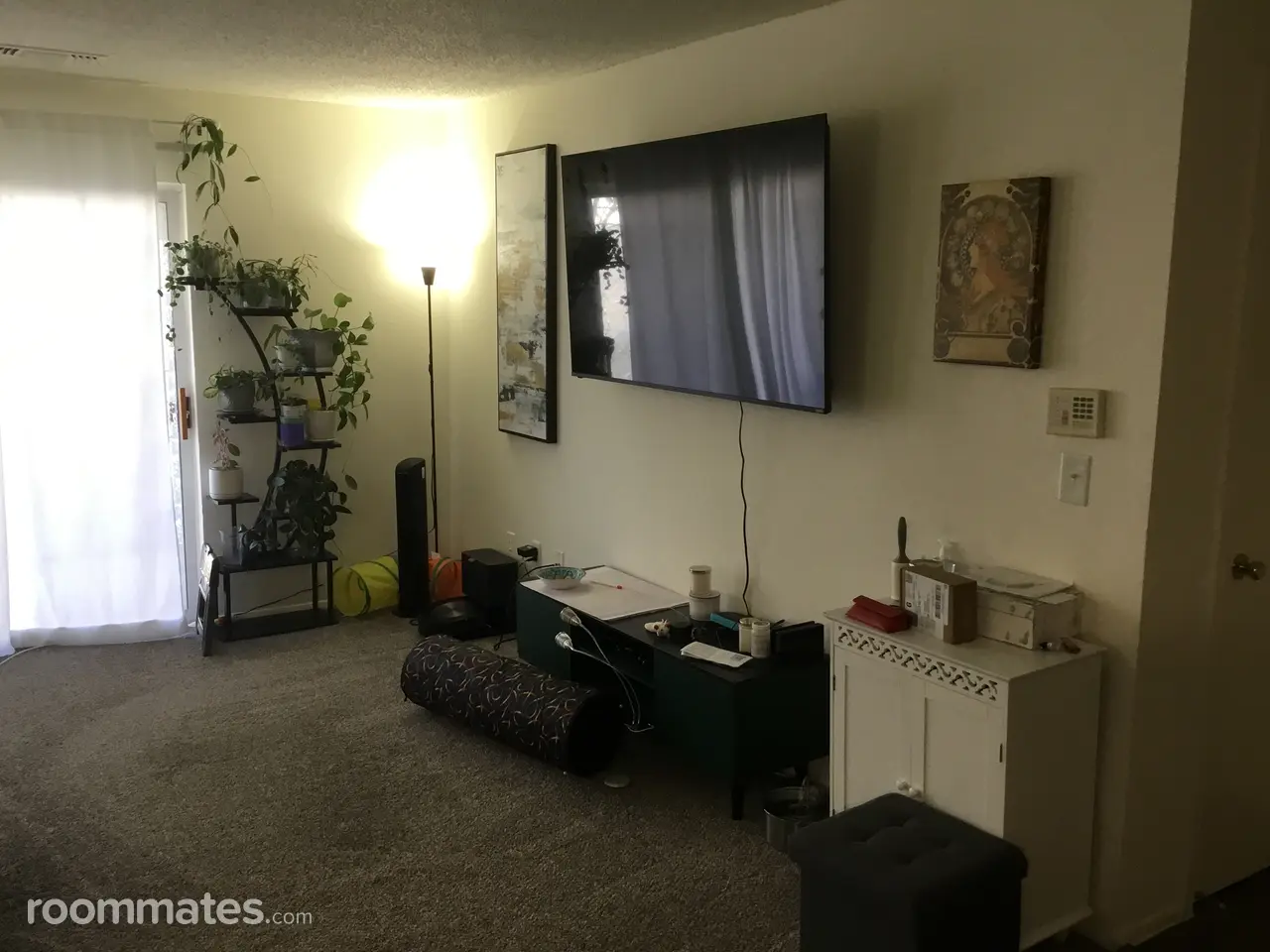 Profile photo 7 of 8