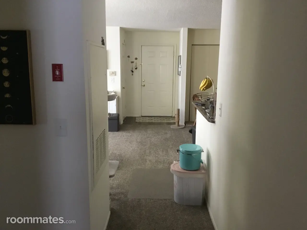 Profile photo 2 of 8