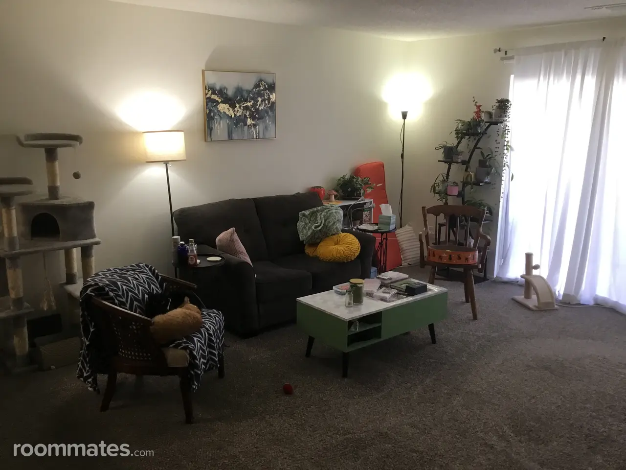 Profile photo 6 of 8