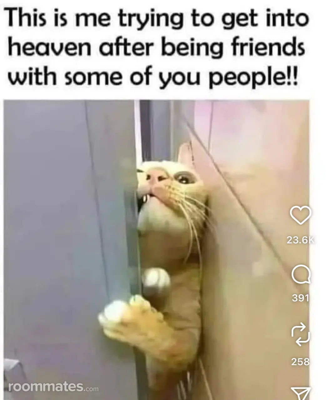 Profile photo 1 of 2