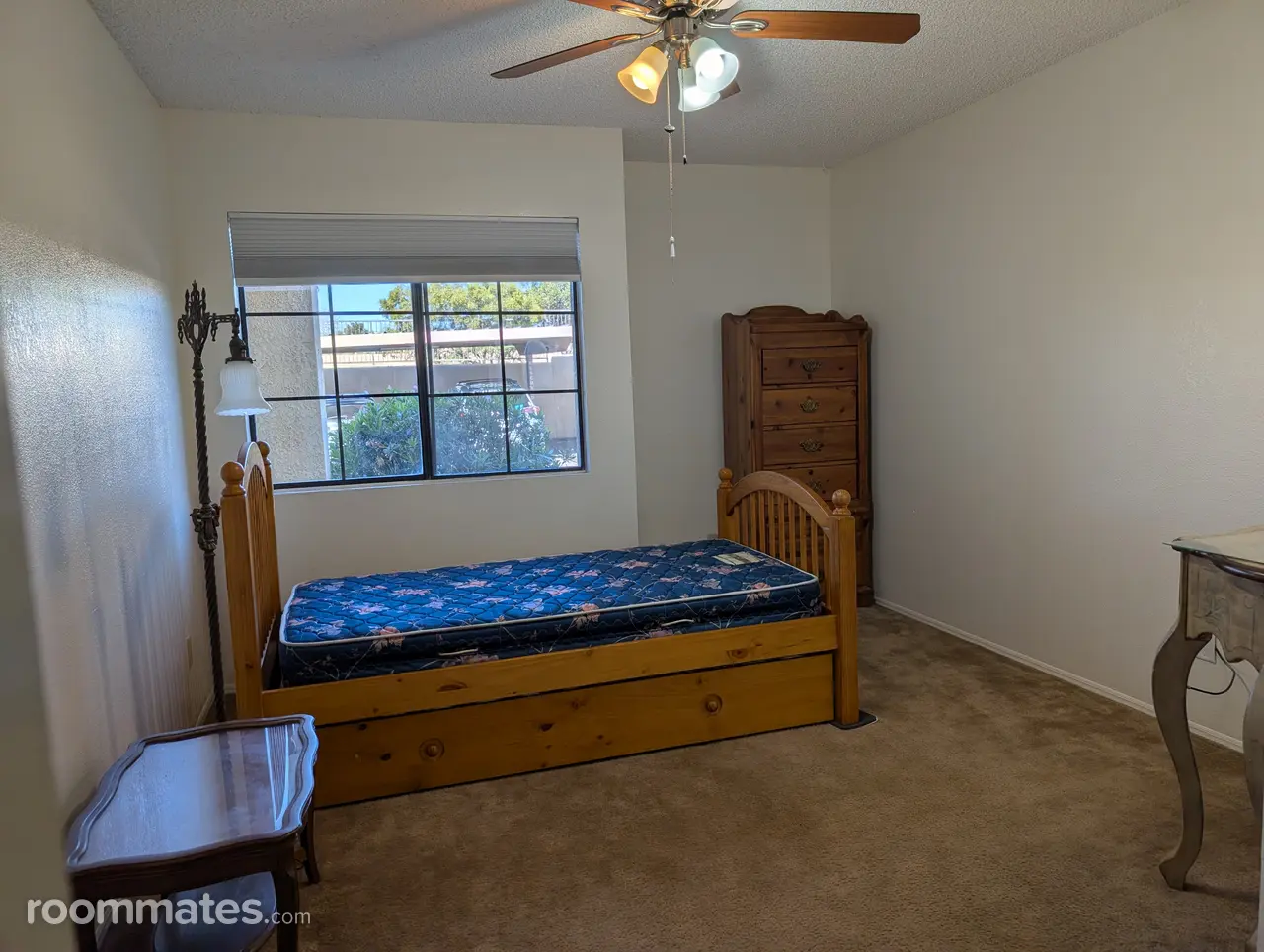 Profile photo 6 of 11