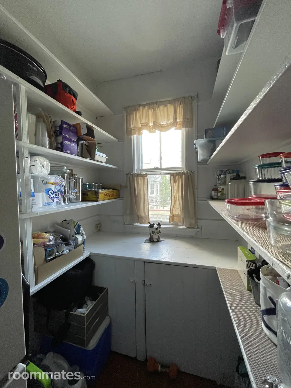 Profile photo 7 of 8