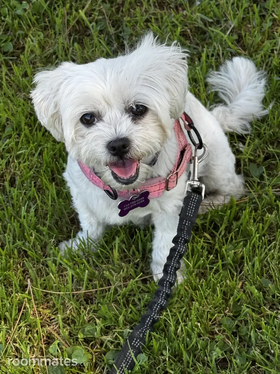 Profile photo 3 of 4