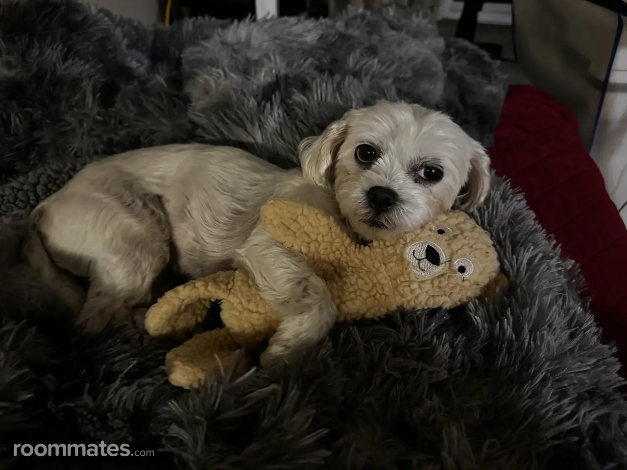 Profile photo 4 of 4