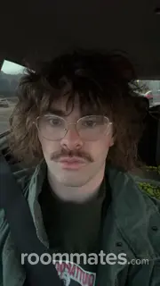 Roommate looking Longmont, CO, $900