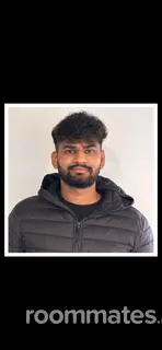 Roommate looking Southgate, MI, $500