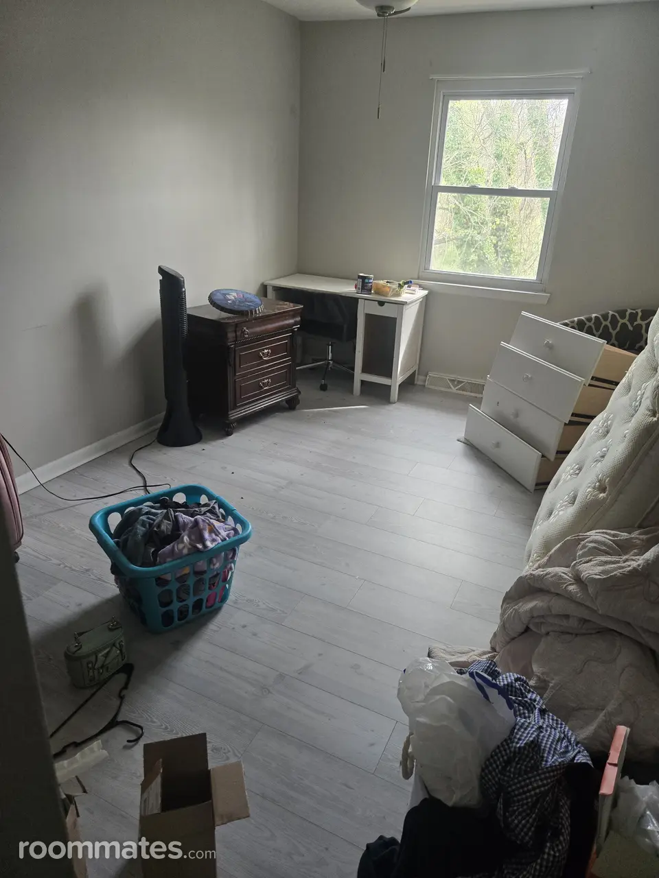 Profile photo 4 of 7