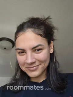 Roommate looking East Lansing, MI, $600