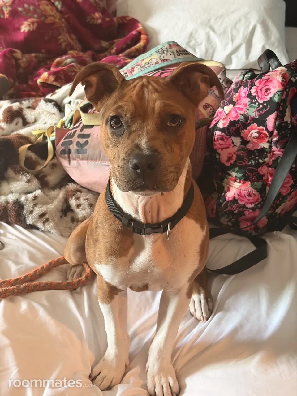 Profile photo 5 of 7