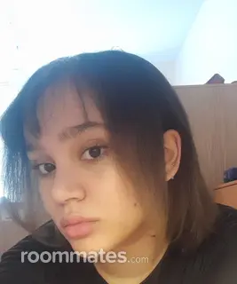 Roommate looking New York, NY, $800