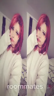 Roommate looking North Haven, CT, $400