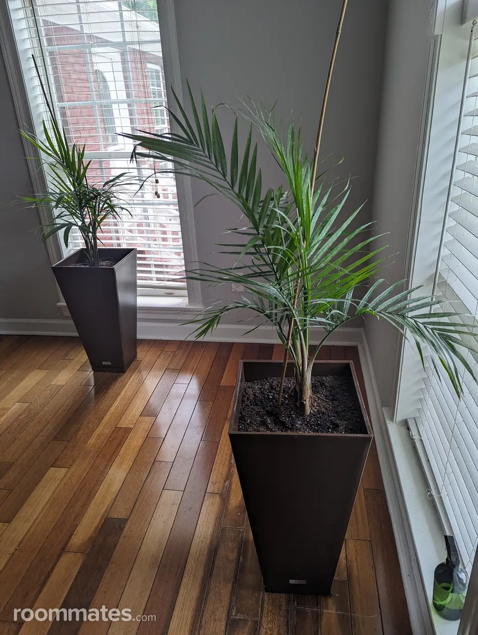 Profile photo 1 of 1