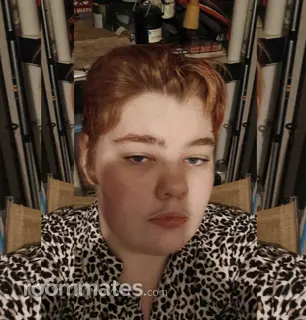 Roommate looking Lee's Summit, MO, $900