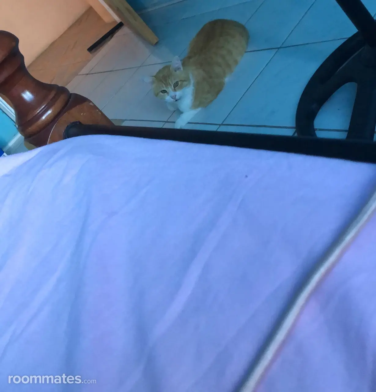 Profile photo 1 of 1