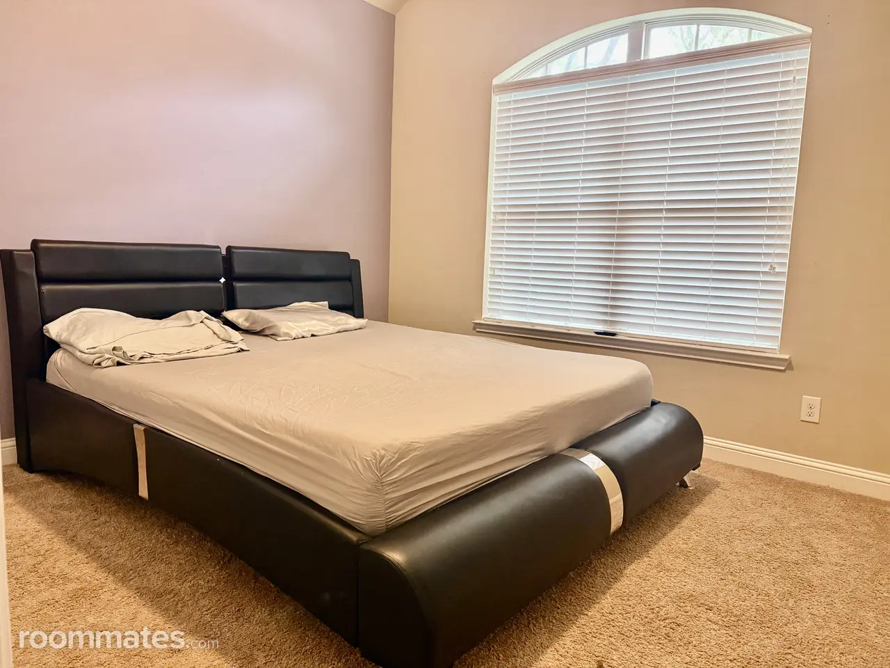 Profile photo 3 of 7