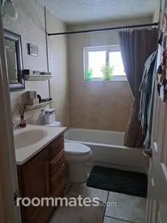 Room for rent in New Port Richey, FL $1000, house