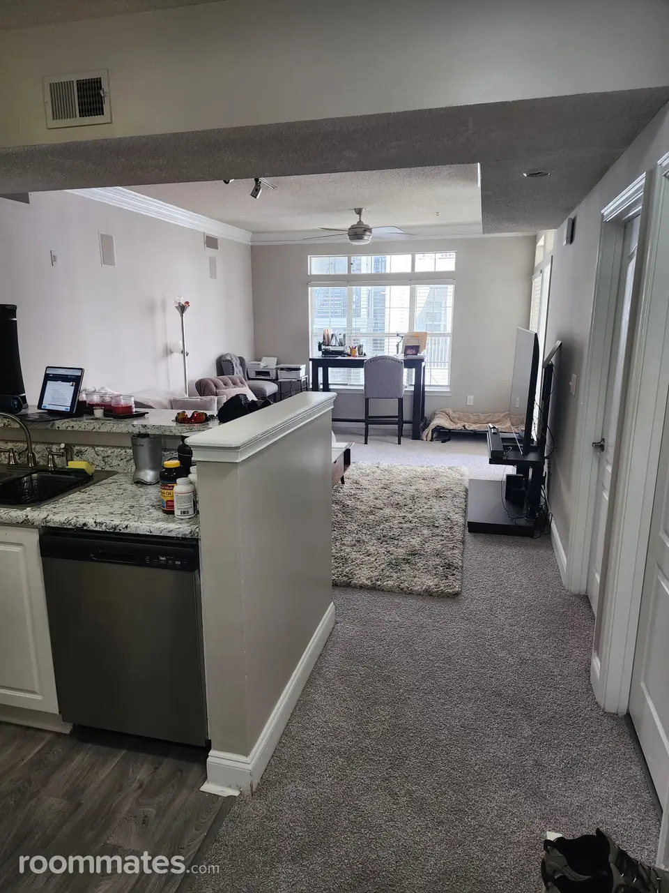 Profile photo 10 of 11