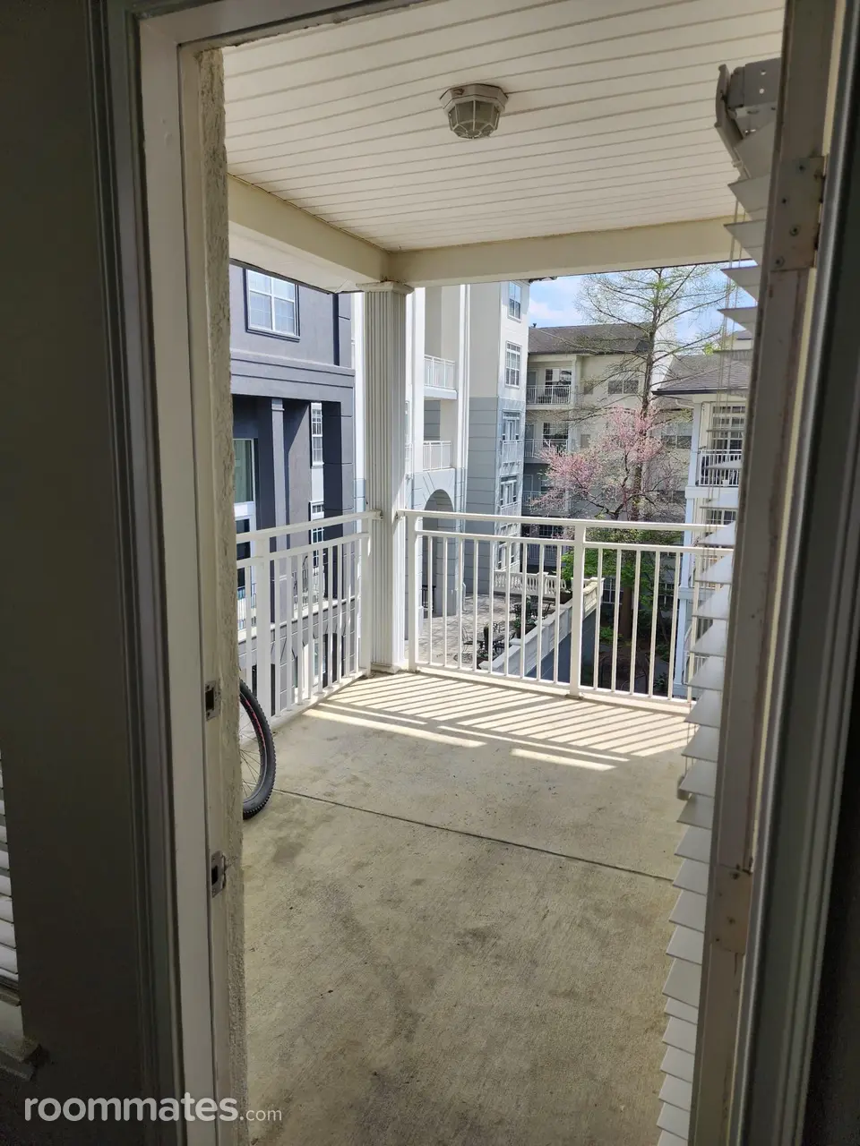 Profile photo 2 of 11