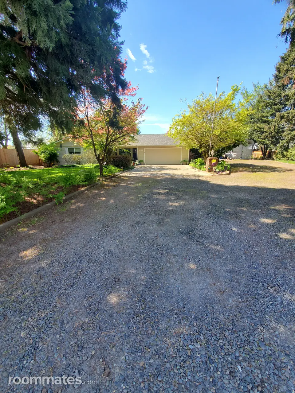 Profile photo 3 of 4