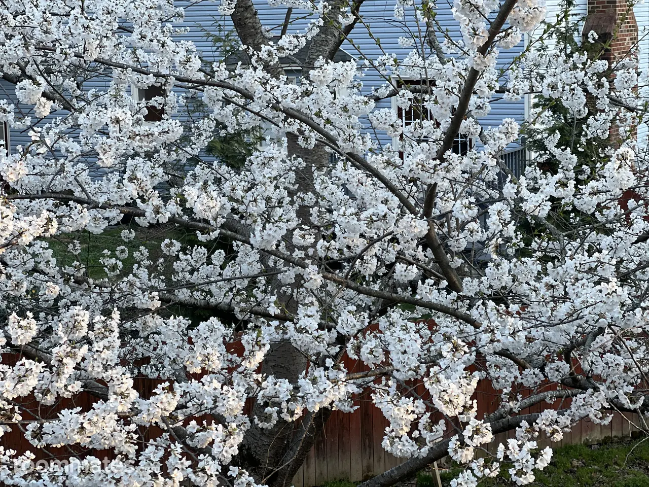 Profile photo 1 of 1