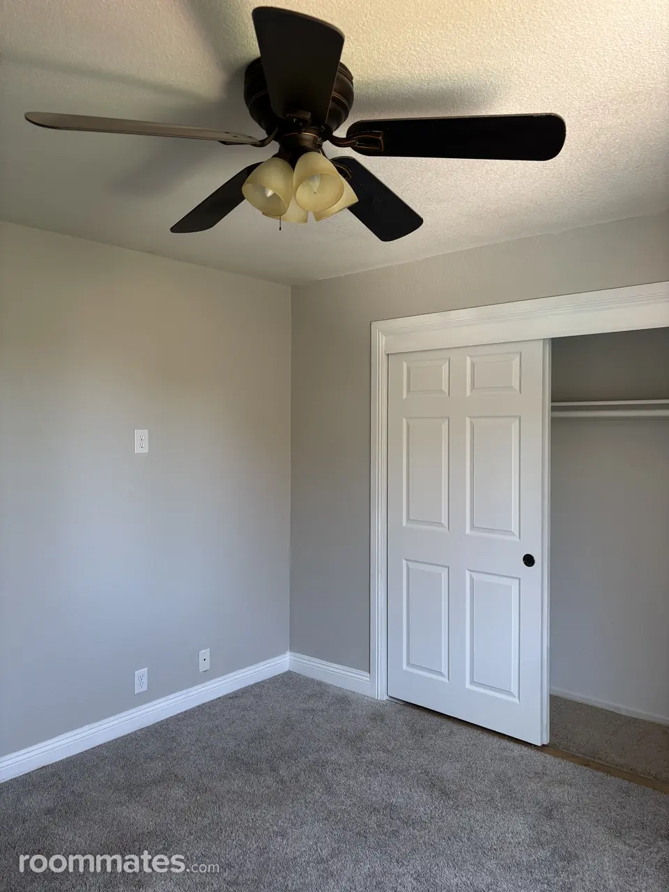 Profile photo 6 of 8