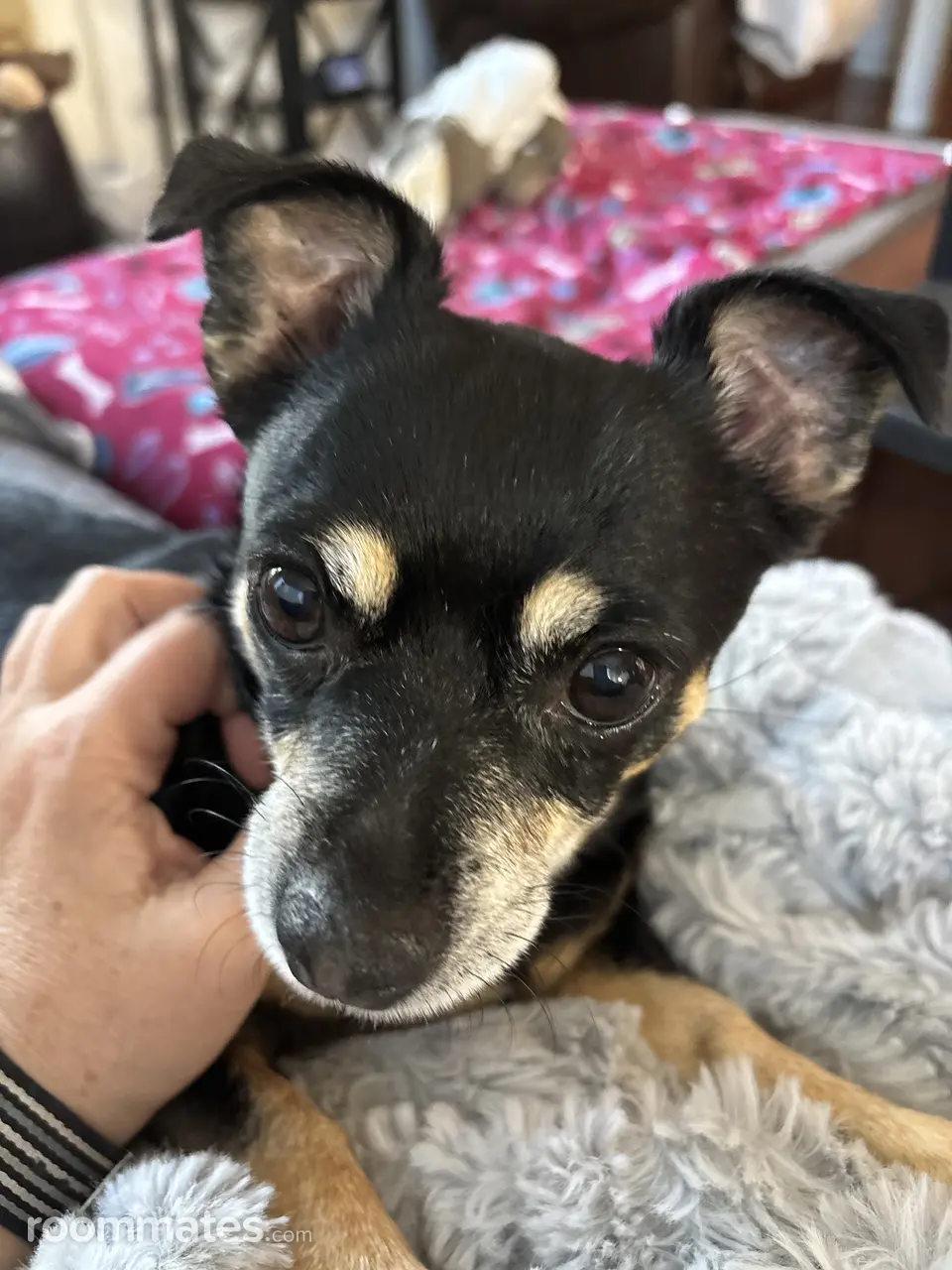 Profile photo 7 of 8