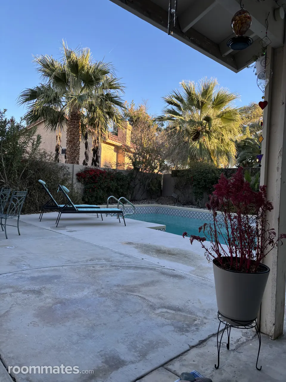 Profile photo 8 of 8